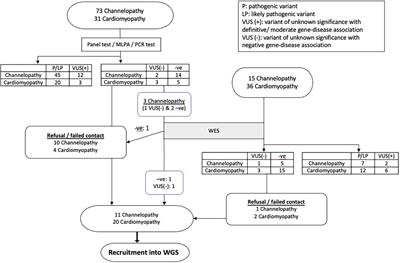 Whole genome sequencing in paediatric channelopathy and cardiomyopathy